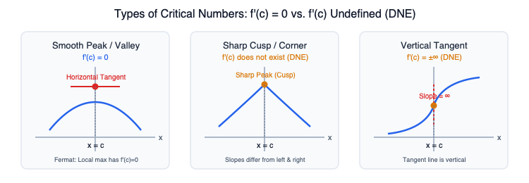 Fermat_Theorem_and_Cusps.png